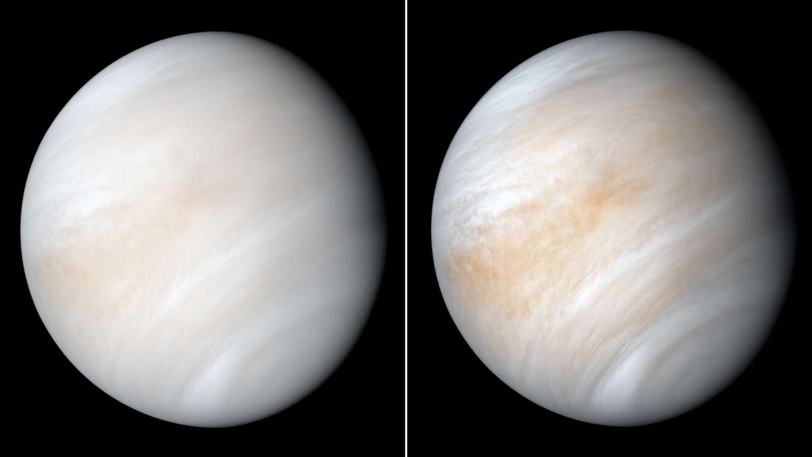 A gas found on Earth that signifies life has been detected in the clouds on Venus