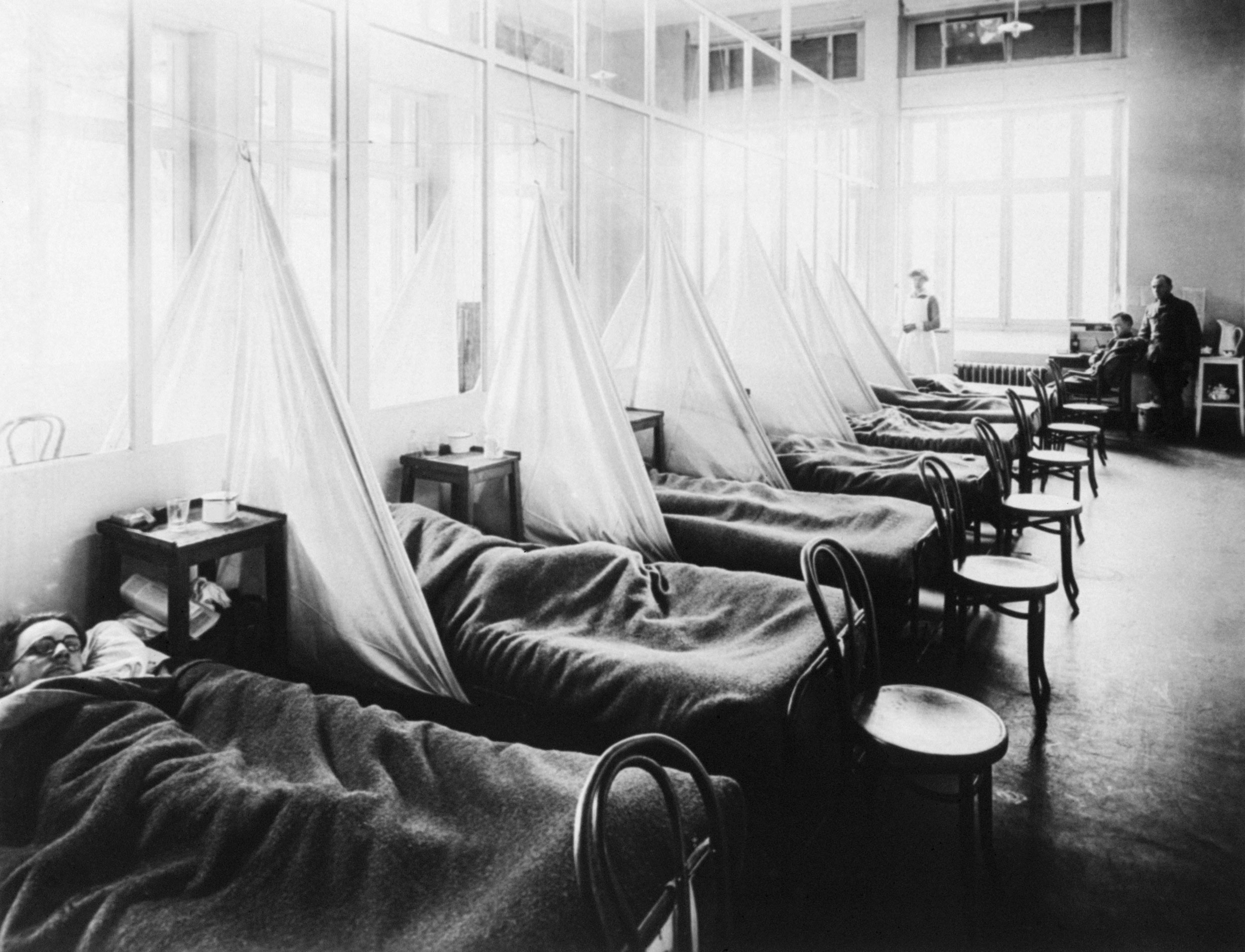 How climate change affects pandemics