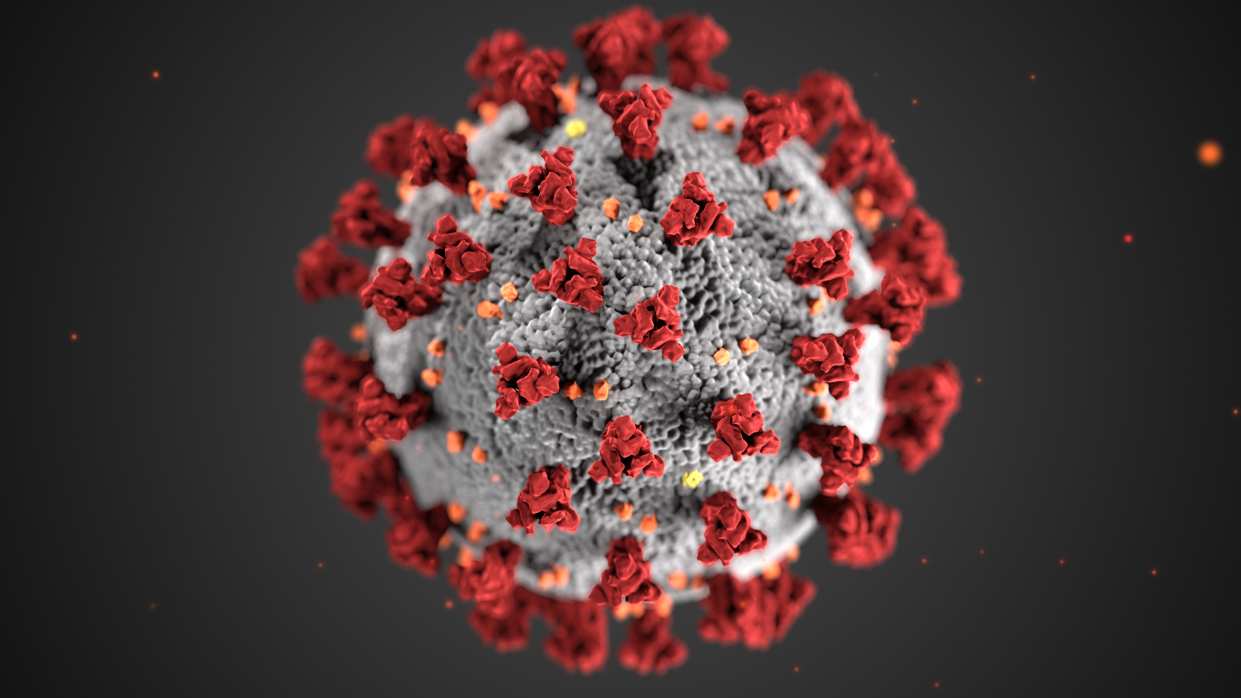 First cases of coronavirus-related inflammatory syndrome identified in children in South Carolina