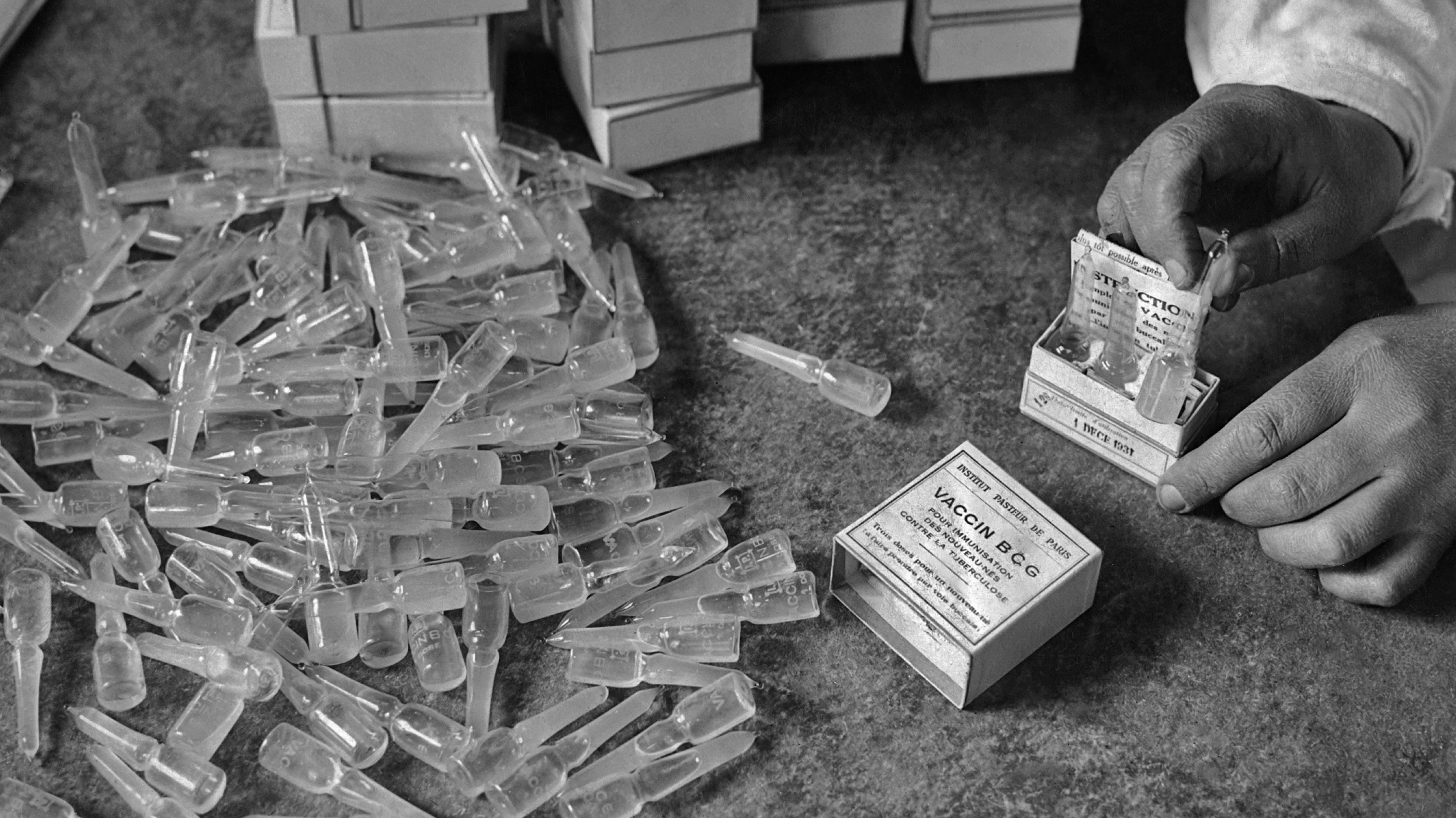 How a 100-year-old vaccine for tuberculosis could help fight the novel coronavirus