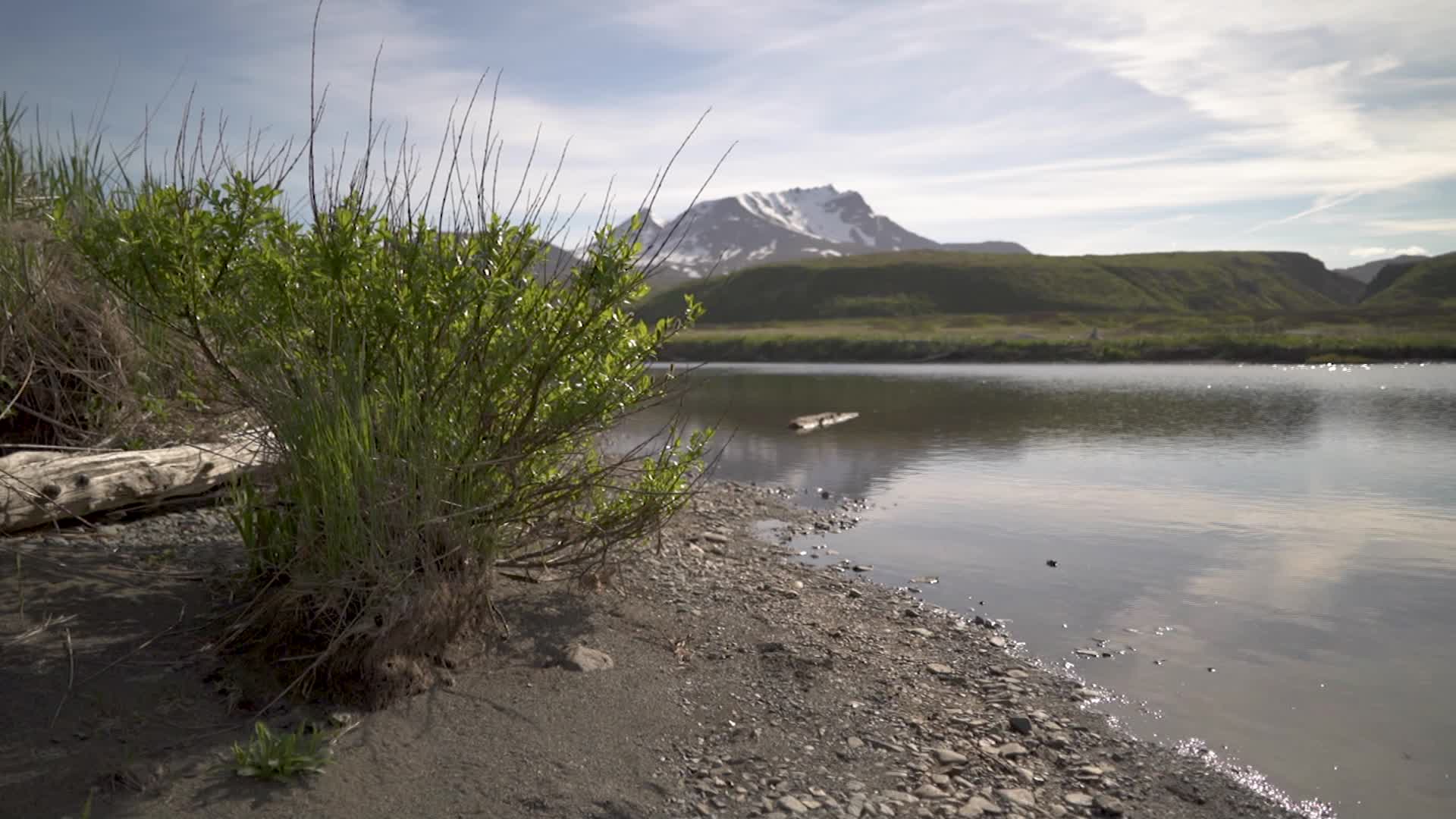 Army Corps denies permit for controversial mine that threatened salmon habitat in Alaska