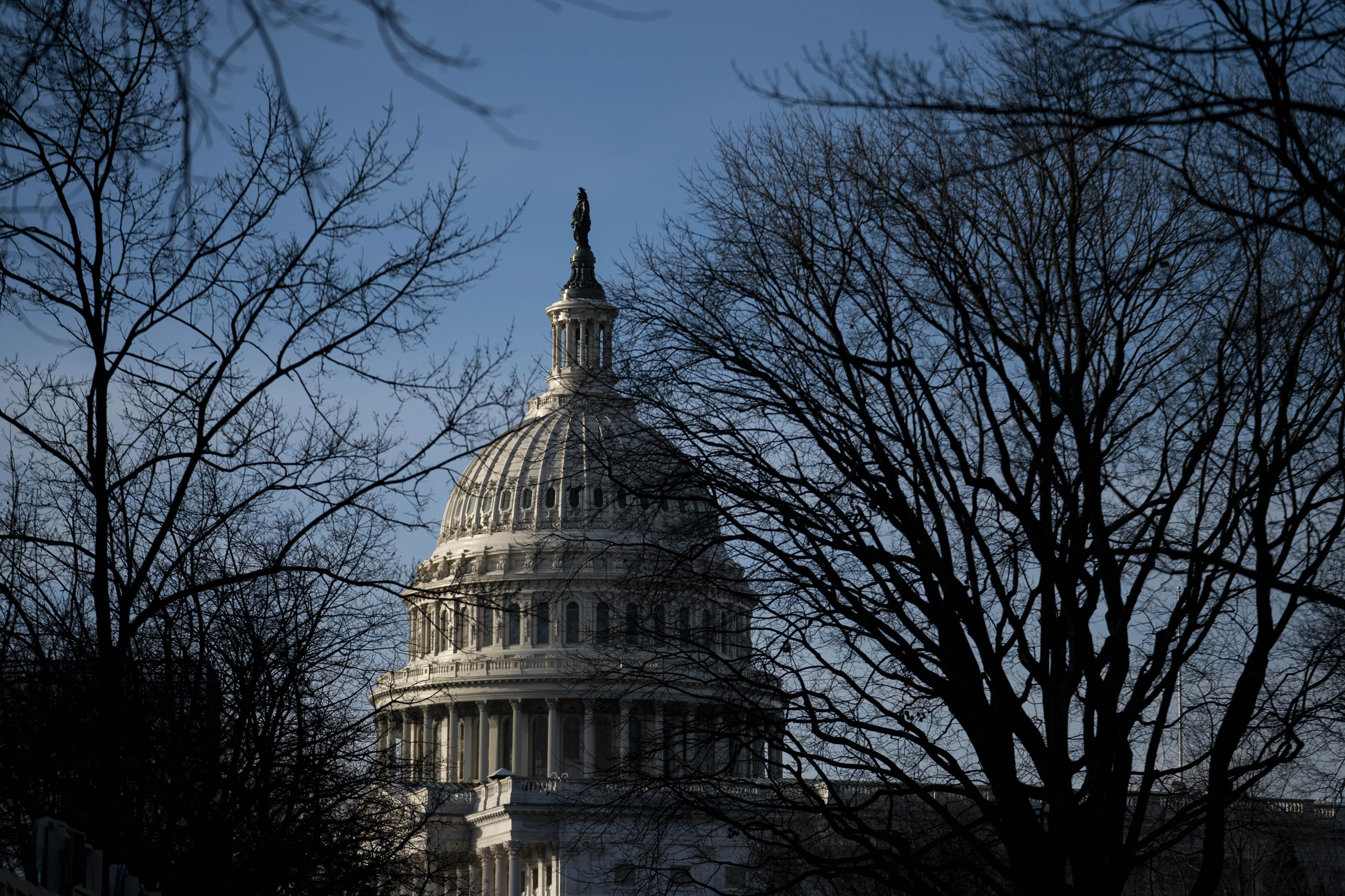 ‘This is the year to get it done’: Democrats move on expanding background checks
