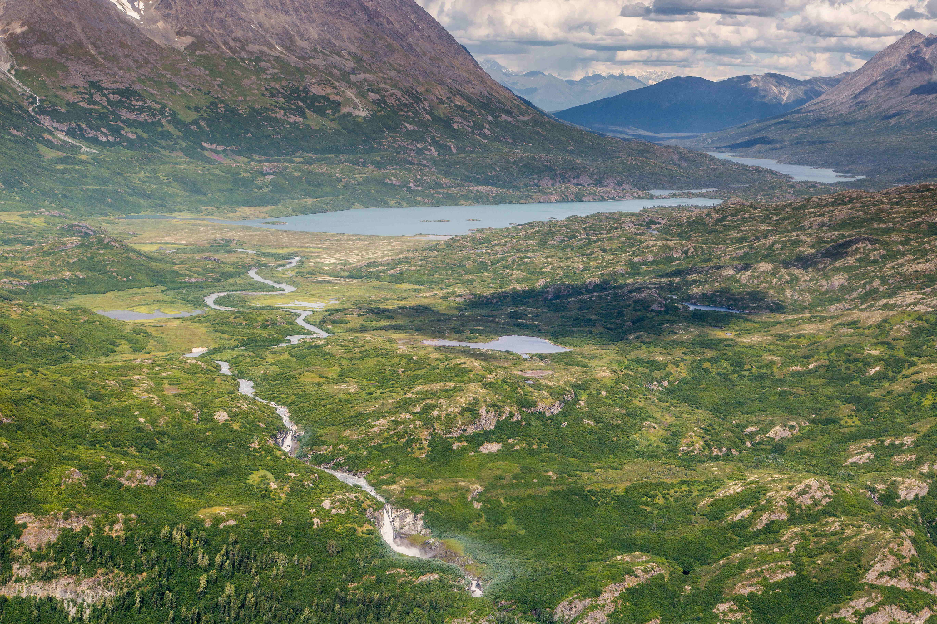 A grizzly bear mauled and killed a hunter in a first-of-its-kind attack at a national park in Alaska