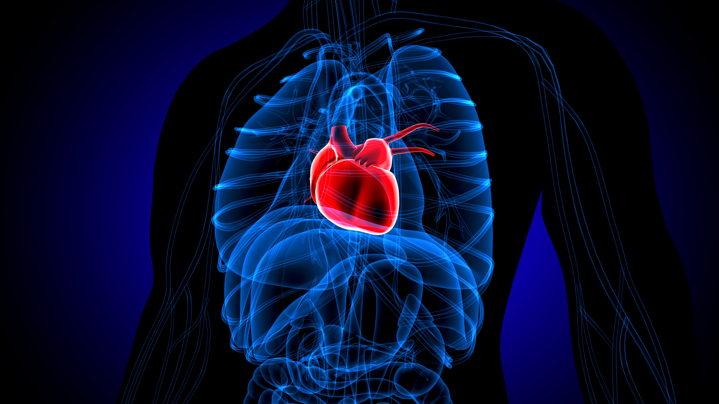 ‘Broken heart syndrome’ has increased during the Covid-19 pandemic, small study suggests