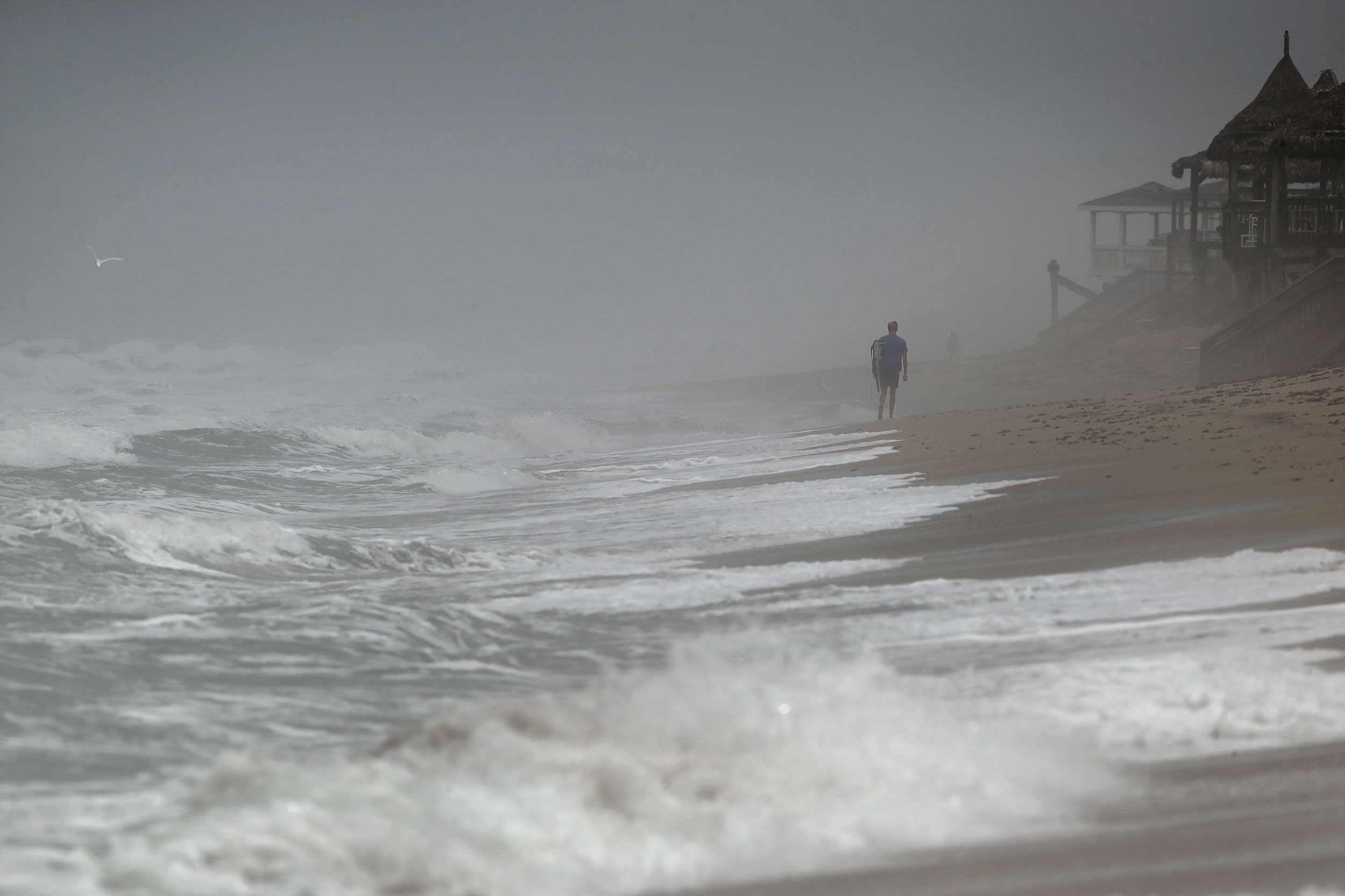 A surfer was bit by a shark in Florida’s Volusia County, marking its fourth attack this year