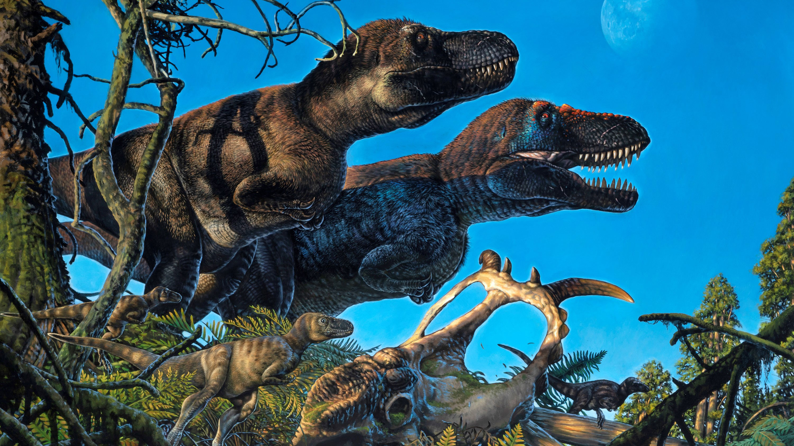 ‘Polar dinosaurs’ may have given birth in the Arctic over 70 million years ago, study finds