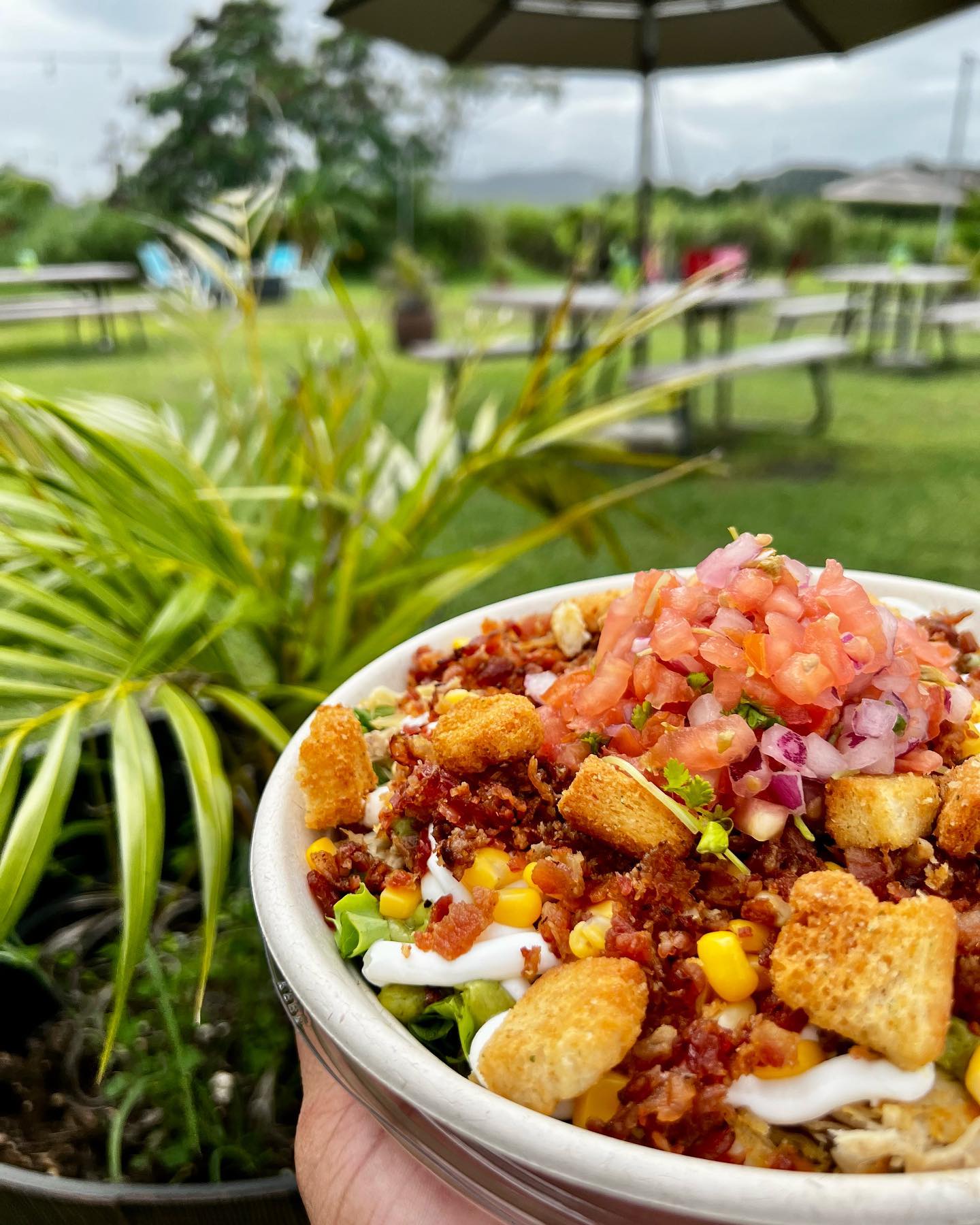 Restaurant Header Image
