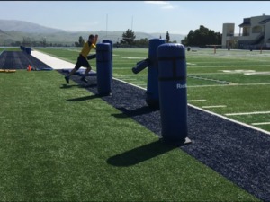 Arpedge R. action photo