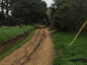 Deundrae P. action photo