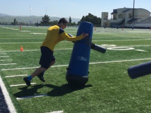 Arpedge R. action photo