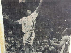 Landers N. action photo