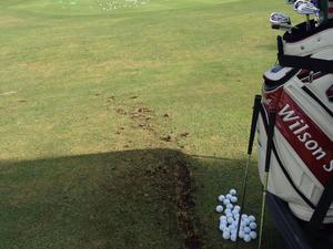 Scotty M. action photo