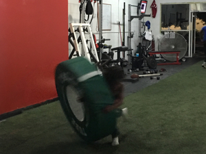 Coach Fred F. action photo