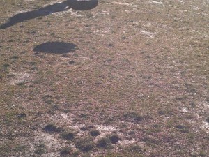 Rowhan C. action photo