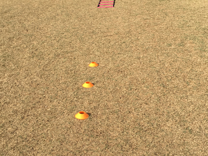 Jackie C. action photo