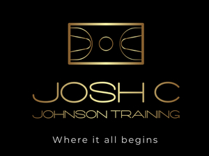 Josh Johnson action photo