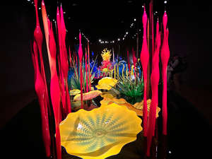 Antonio C. action photo