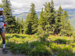 David L. action photo