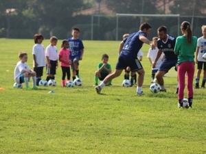 Stephen W. action photo