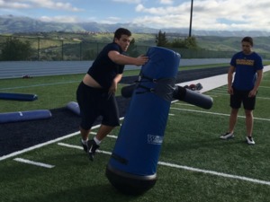 Arpedge R. action photo