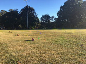 Jackie C. action photo