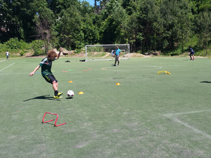 Allen L. action photo