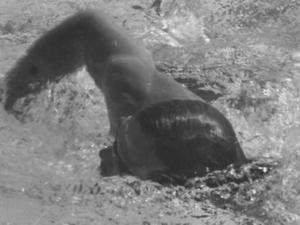 James J. action photo
