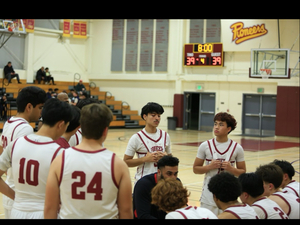 Ajaypal S. action photo