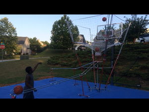 Landers N. action photo