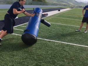 Arpedge R. action photo