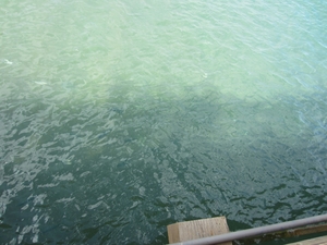 Michaela D. action photo