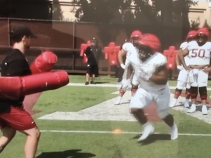 Admir F. action photo