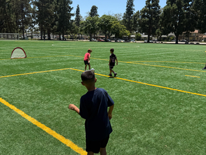 Bruno Z. action photo