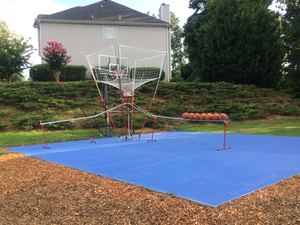 Landers N. action photo