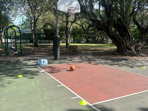 Dontaye Draper action photo