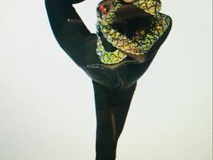 Angie Chen action photo