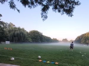 Timothy P. action photo