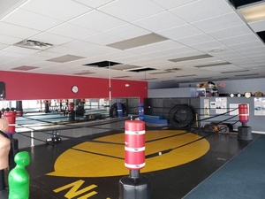 Coach Tony Hloros action photo