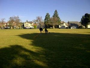 Jessica S. action photo