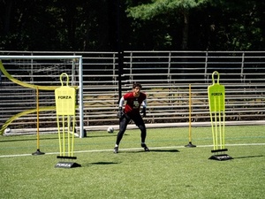 Leonard S. action photo
