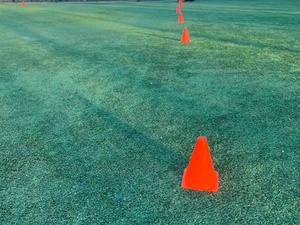 Harris T. action photo