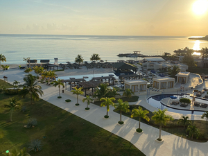 Terry H. action photo