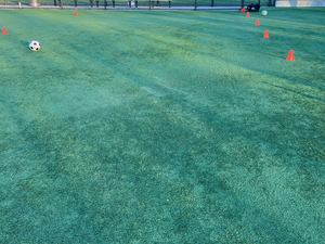 Harris T. action photo