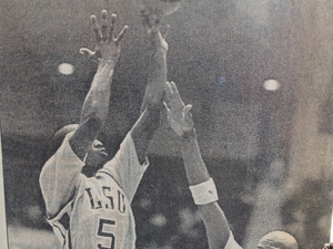 Landers N. action photo