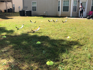 Jared S. action photo