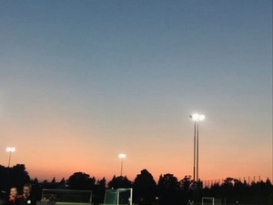 Matthew Escobar action photo