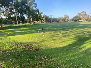 Christian M. action photo