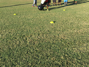 Coach Fred F. action photo