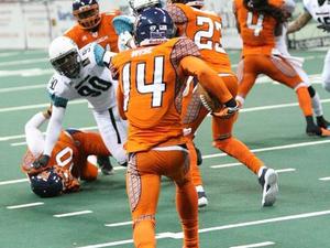 Christian W. action photo