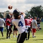 Justin T., Birmingham, MI Football Coach